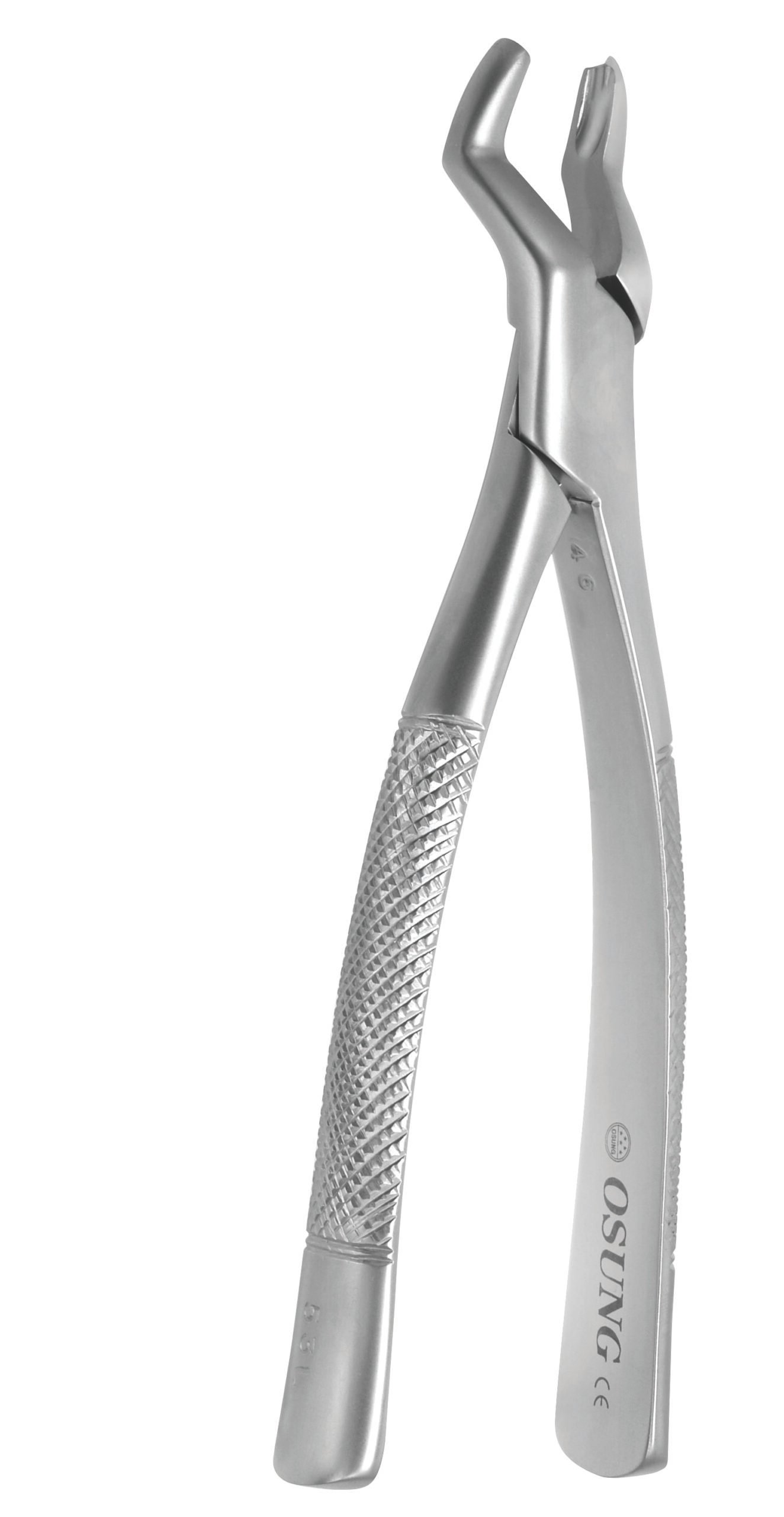Dental Extraction Forcep UPPER MOLARS, FX53L