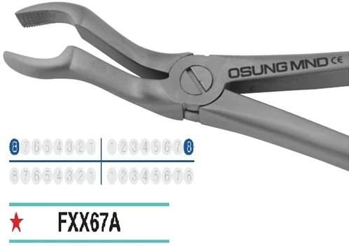 Adult Extraction Forcep, FXX67A