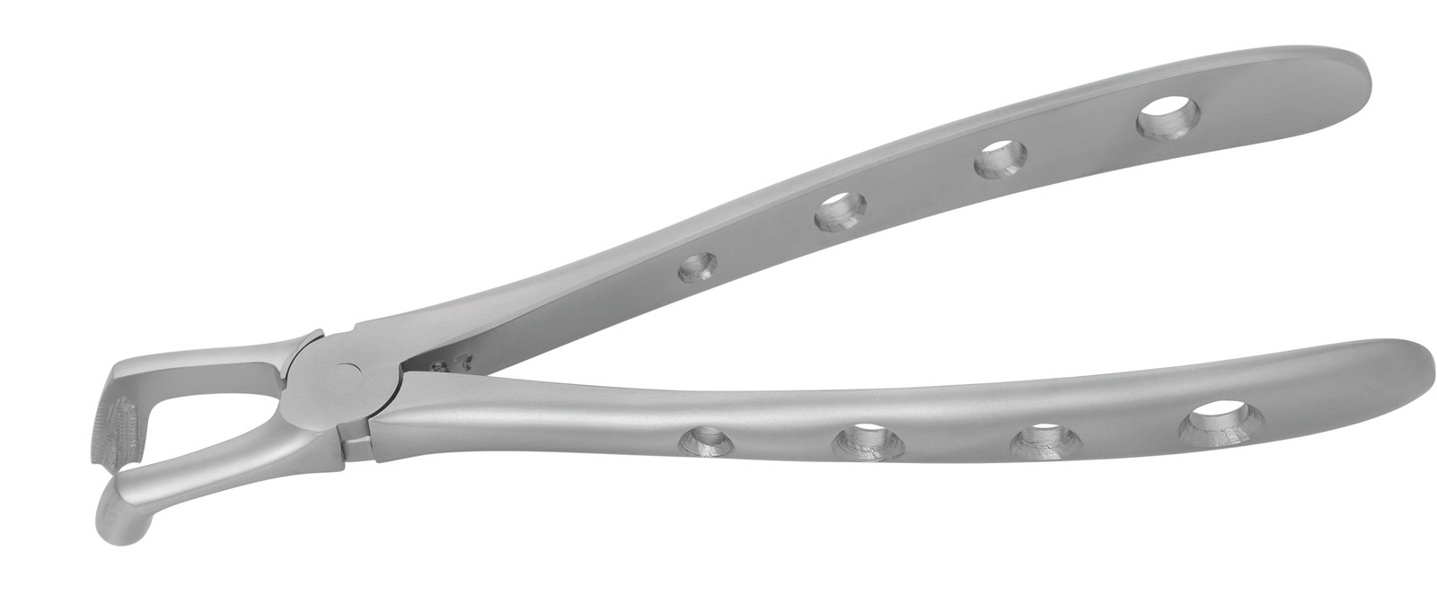 Adult Extraction Forcep, FXX79