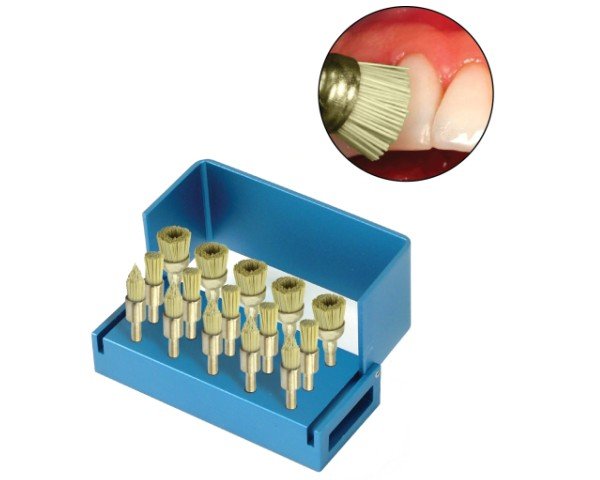 PacDent GloBrush Polishing Brush Combo Kit: 5 x polishing cups, 5 x polishing flames and 5 x flat brushes in an aluminum bur block