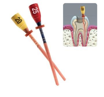 Pacdent Pac-File GPC Obturator, Gutter Percha Carrier 5 x #20 GPC Obturators + 1 x #20 verifier