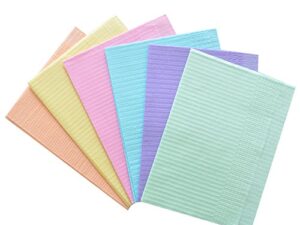 PacDent - White Disposable Bibs, 500/pk 