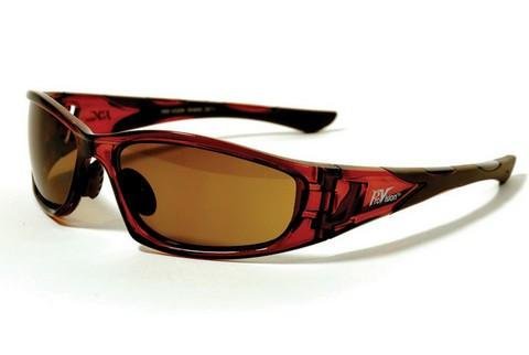 FB-Eye Crystal Brown Frame/ Brown Lenses