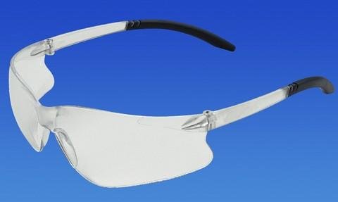 ProVision® Bad Dogs™ Clear frame/clear lens