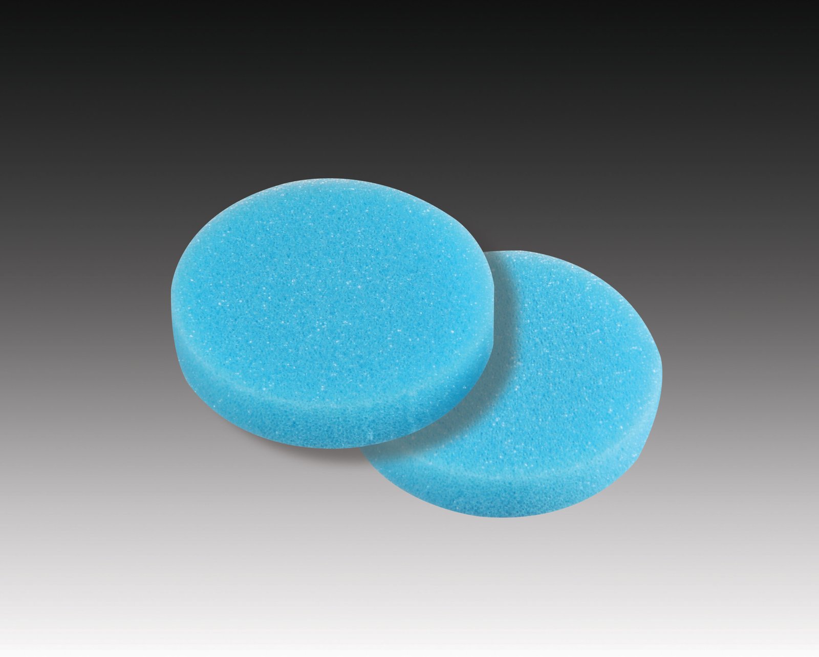 Plasdent ROUND ENDO FOAM INSERTS Disposable, Blue, (48pcs/bag)