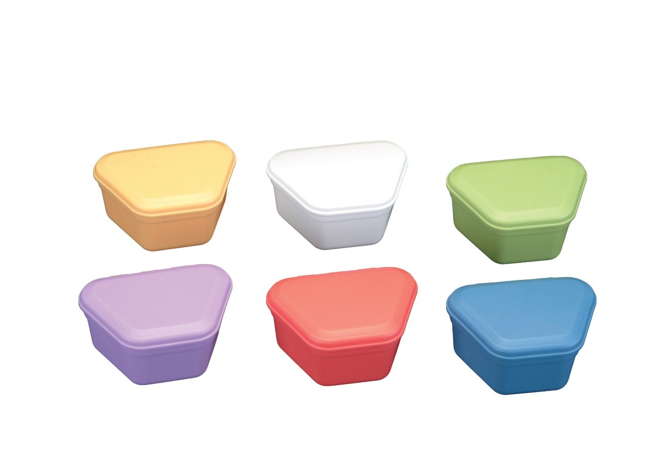 Plasdent PROBATH™ DENTURE BOX (12pcs/box) - WHITE SNOW