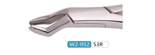 Woodpecker Extracting Forcep 53R