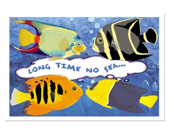 Sherman Dental LONG TIME NO SEA POSTCARD