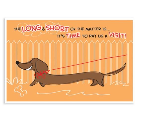 Sherman Dental DACHSHUND POSTCARD