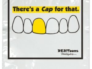 Sherman Dental DENTOONS CAP FOR THAT TWO COLOR BAG - SMALL