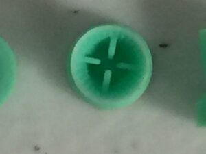 TM Global Disposable Prophy Cups- Snap-on Soft cups Green, 100/bag