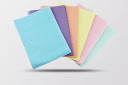 TM Global Polygard Dental Bibs 2ply paper + 1ply poly Top Quality(Grade A paper,Matt Film) 13"X18", blue, 125pcs/bag,4bag/carton (Neutral)