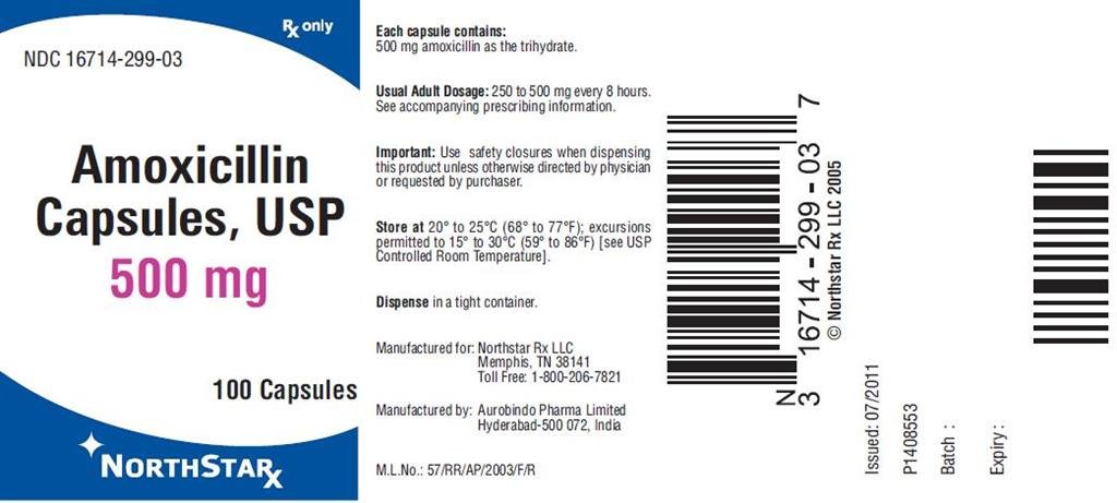 Northstar Amoxicillin Capsules USP 500mg, 100 Capsules